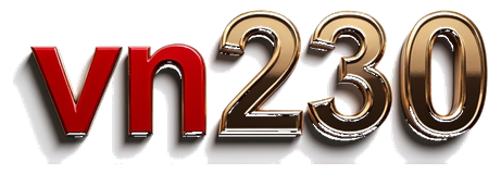 vn240 logo